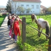 vizitai002