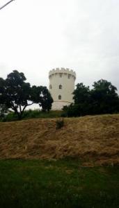 scoala altfel 2017009